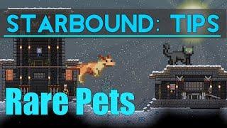 Starbound Tips: Rare Pets