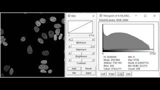 ImageJ SOFTWARE INFORMATION  AND PRACTICAL USES  &What is Nanotechnology?|Micro-Biology& Nano -Scale