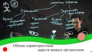 Общая характеристика царств живых организмов. 7 класс.