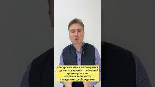 Что такое конкурсная масса при банкротстве и как гражданину получать больше денег в процедуре