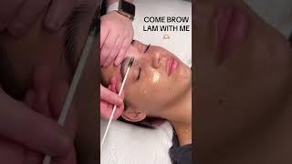 SLEEKEST BROWS IN THE CITY ‍ LASH V BROW LAMINATION KIT  #brows #browlamination #fyp