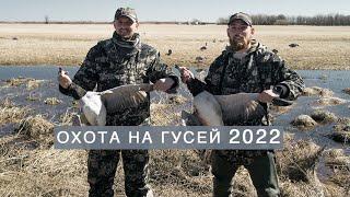 Охота на Гуся 2022 Гусь в Афганском казане Полевая баня Белощекая казарка Охота на казарку