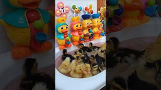 Outdoor taking ducky waterwheel color bath time  ️ #duck #short