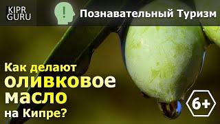  Видео-гид по Кипру: Как на Кипре делают оливковое масло (экскурсия по заводу / короткая версия)