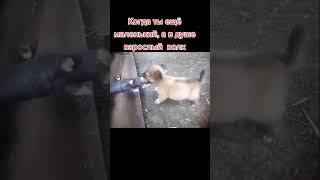 200 грамм ярости