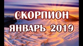 Скорпион.  Гороскоп на январь 2019 года на картах таро.