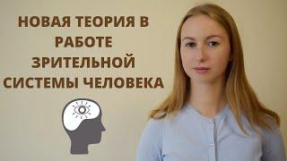 Новая теория функционирования зрения человека