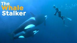 How Award-Winning Documentary Filmmaker Rick Rosenthal Films Whales Underwater