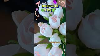 #김용빈 #행복을비는마음 #엠마프론뱅츠보제라늄