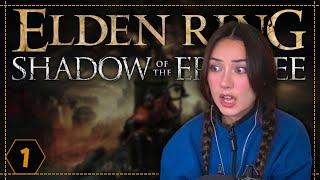 Elden Ring Shadow Of the Erdtree [DLC] | Play Through | Pt 1.