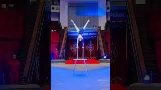Handstand.Kravchenko Maria.Kyiv state circus. Viewing.2024.