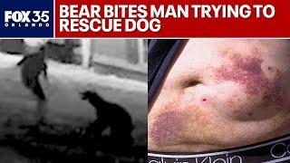 Florida man attacked by bear while trying to save his dog