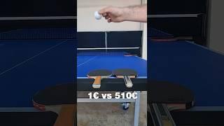 1€ vs 510€ Table Tennis Racket  #tabletennisracket #pingpong #tischtennis 