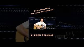Солдат на привале/Чиж/Полковник/русский рок/кавер/Ларин Павел