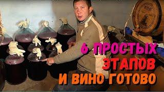 6 ШАГОВ и ВИНО из винограда в домашних условиях готово | Простой рецепт вина для новичков