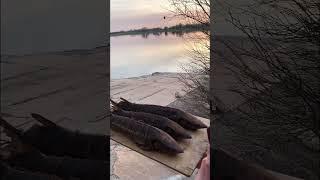 Сельский вайб. #астрахань