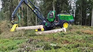 John Deere 1470G harvester felling big trees