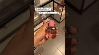 Zara top 5 fragrances