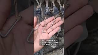 아웃트리거 조작의 자동화?! #콘크리트 #펌프카