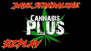 EZPlay X10 DayZ Standalone Выращиваем траву Cannabis