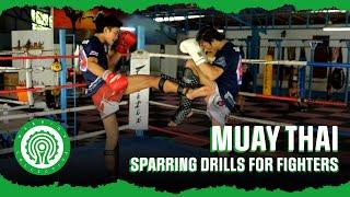 Muay Thai Training - Attacking and Feinting using Kicks with Kru Lom