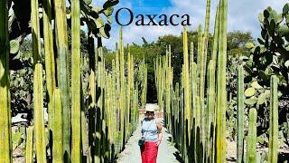 Best of Mexico Tour with Intrepid Part one: Puebla and Oaxaca