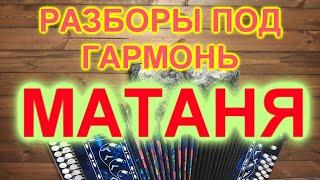 РАЗБОР ПОД ГАРМОНЬ! МАТАНЯ!