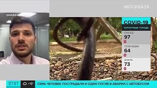 Адвокат Сергей Афанасьев