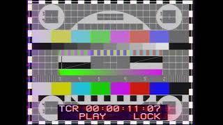 SECAM on Betacam SP