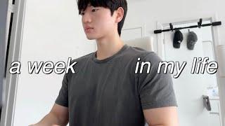 USC dental student vlog 미국 치대 브이로그 | week in my life, back to gym routine [kor/eng]