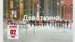 Девяткино,Мурино 1 декабря 2021