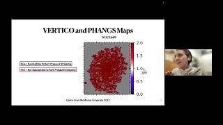 MAYA2023 Celine Greis McMaster "Molecular gas susceptibility to ram pressure stripping in Virgo "