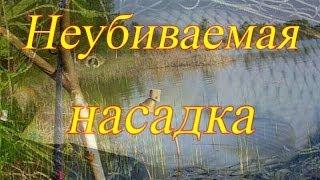 Неубиваемая насадка.Рыбалка на эффективную наживку