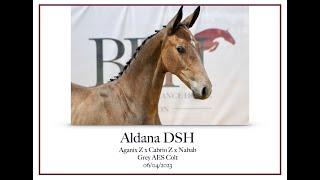 Aldana DSH ~ Family of Dieu Merci, Baloussini and Three Coynes.