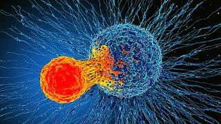 5 most common cancers in the world