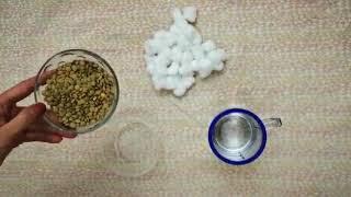 how to plant seeds