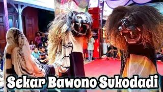 Barongan Sekar Bawono live Bulak Rowosari