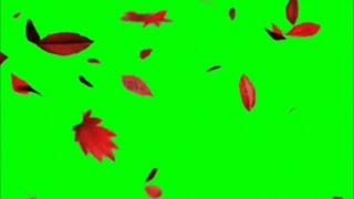 Green Screen Fall / Falling Leaves Effects