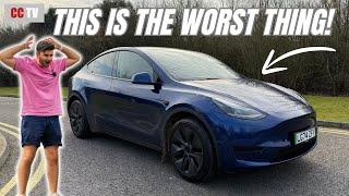 The ONE Thing Everyone Hates About the Tesla Model Y!