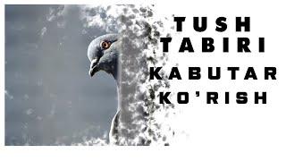 Tushda Kabutar Ko'rish Tabiri