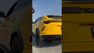 Как думаете сколько лошадиных сил? #auto #cars #luxurycars #lamborghini #urus #lambo #v8 #v10 #v12