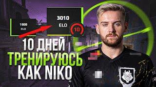 10 ДНЕЙ ТРЕНИРОВАЛСЯ как NiKo КС ГО, РЕЗУЛЬТАТ МЕНЯ УДИВИЛ..