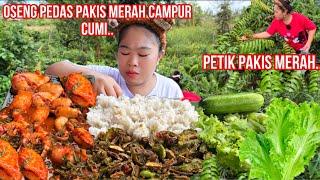 PETIK PAKIS MERAH,LANGSUNG MASAK OSENG PEDAS PAKIS MERAH CUMI,SAMBAL PETAI SAMA KULITNYA CAMPUR PARE