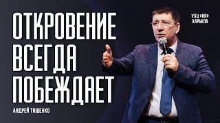 «Откровение всегда побеждает» / Андрей Тищенко