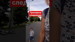 Тренирует следование. Ребенок не убегает. Смотри видео на канале как это сделать .