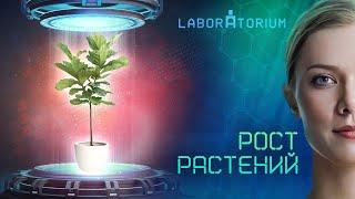 Laboraturium. Растения-рекордсмены