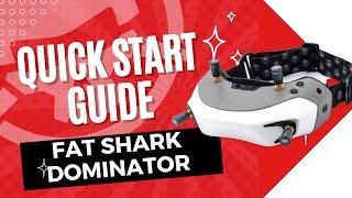 Fat Shark Dominator Quick Start Guide