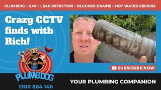 Richard, What's the funniest thing you have found using CCTV? - Plumbdog Plumbing Perth