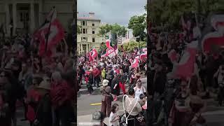 Tens of Thousands of People Protest Against Treaty Bill Outside New Zealand Parliament