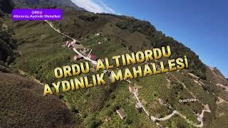 ORDU ALTINORDU AYDINLIK MAHALLESİ DRON GÖRÜNTÜSÜ